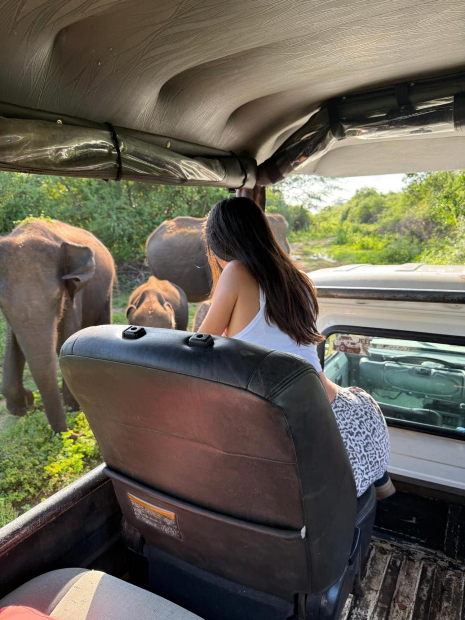 Chill House Safari Resort อุดาวาลาเว ภายนอก รูปภาพ