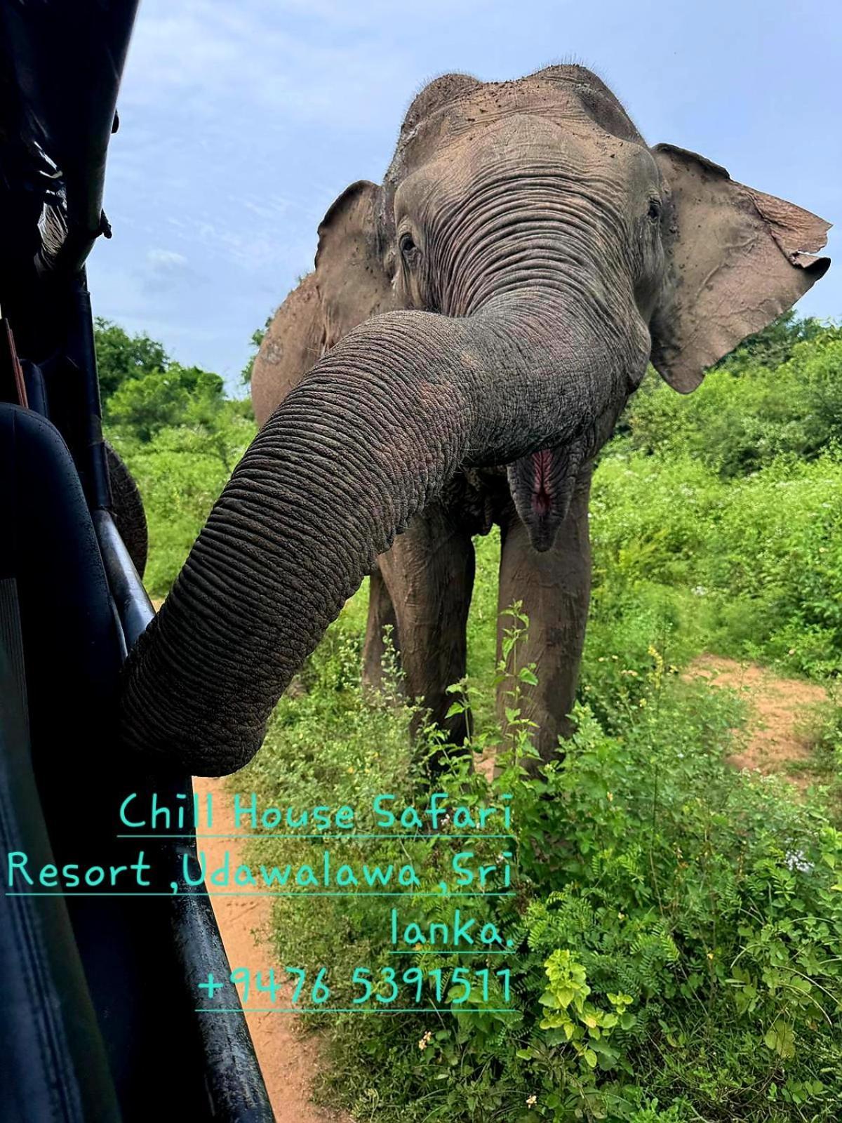Chill House Safari Resort อุดาวาลาเว ภายนอก รูปภาพ