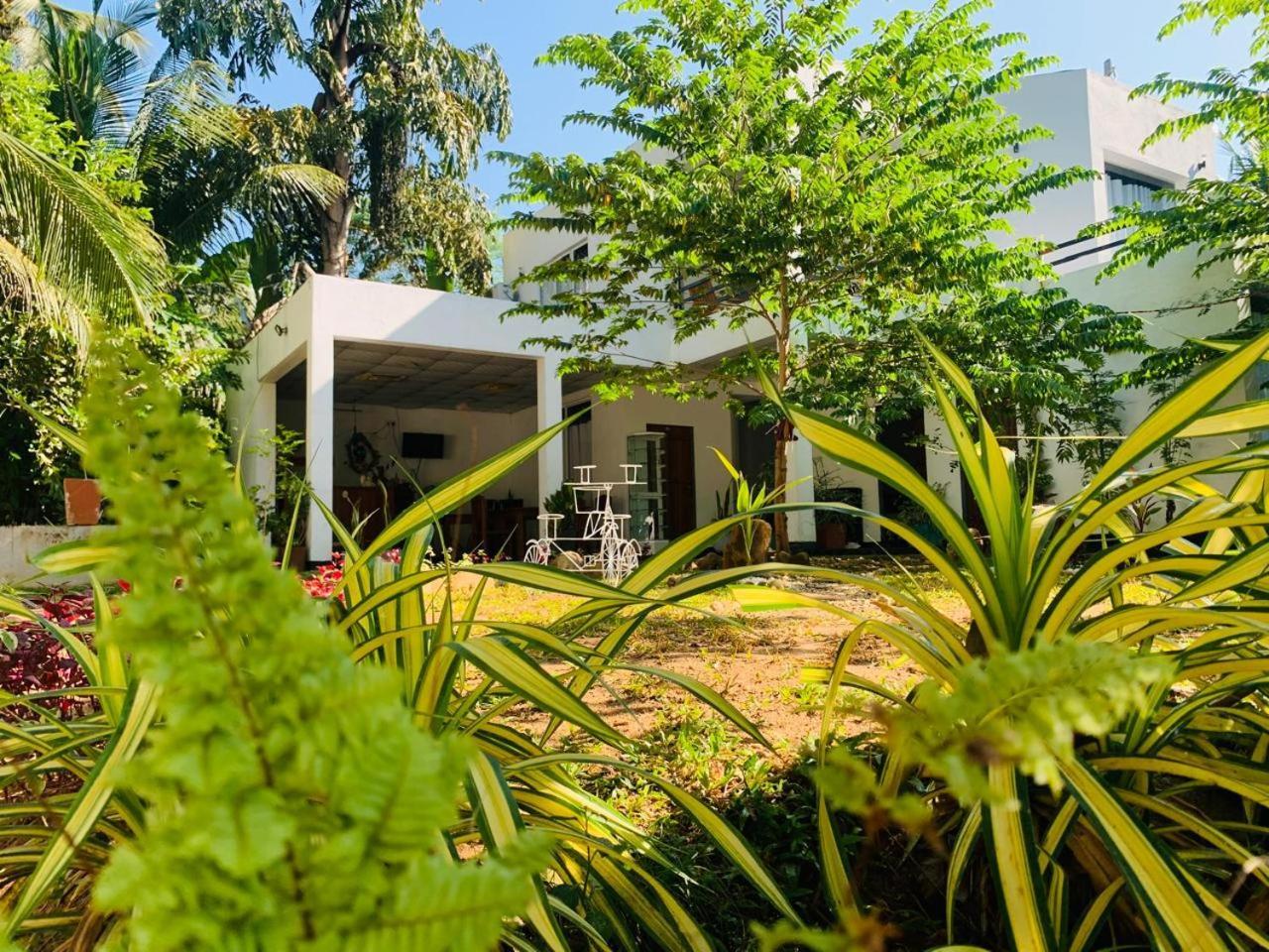 Chill House Safari Resort อุดาวาลาเว ภายนอก รูปภาพ