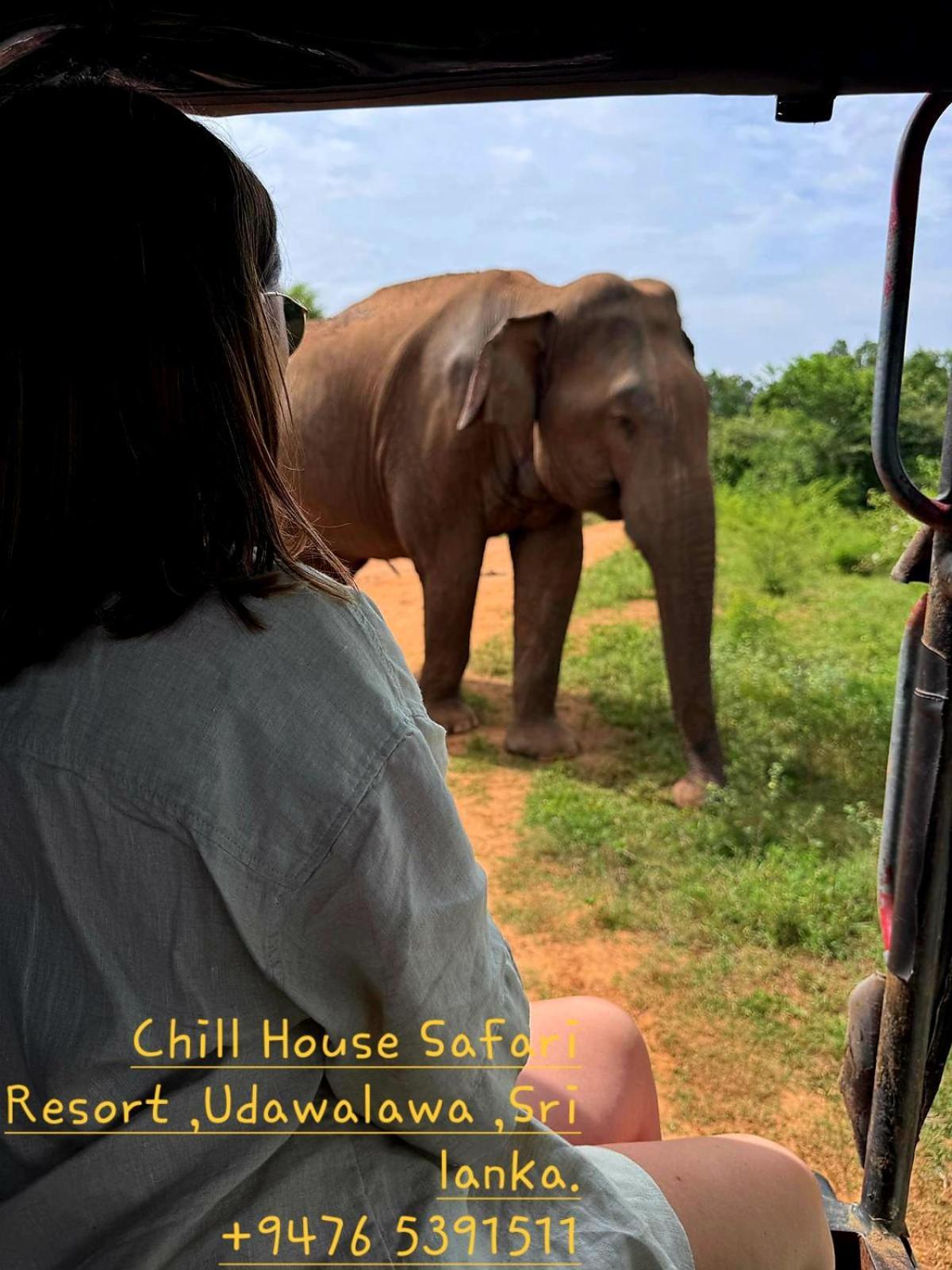 Chill House Safari Resort อุดาวาลาเว ภายนอก รูปภาพ