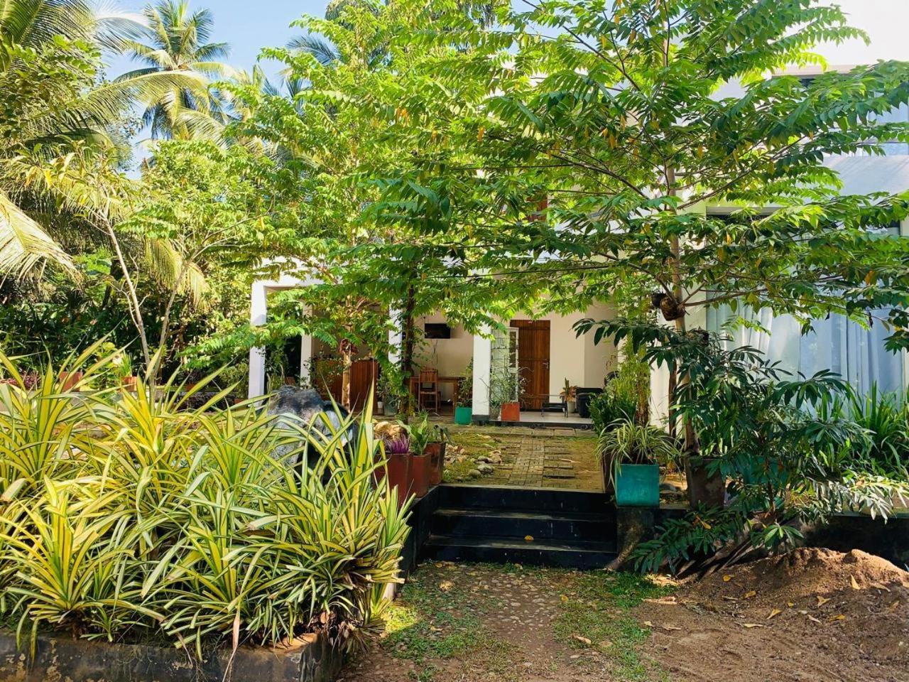 Chill House Safari Resort อุดาวาลาเว ภายนอก รูปภาพ